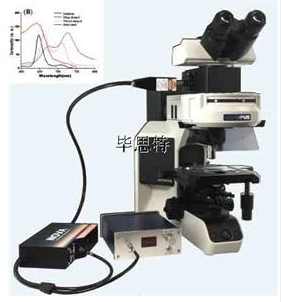顯微分光光度計顯微光譜系統(tǒng)顯微分光光度計顯微紅外光譜儀、