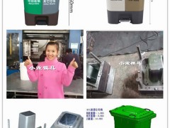 浙江塑料注塑模具100升雙桶垃圾桶注射模具精品