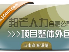 合肥邦芒多年HR*經(jīng)驗 專注提供項目整體外包服務(wù)